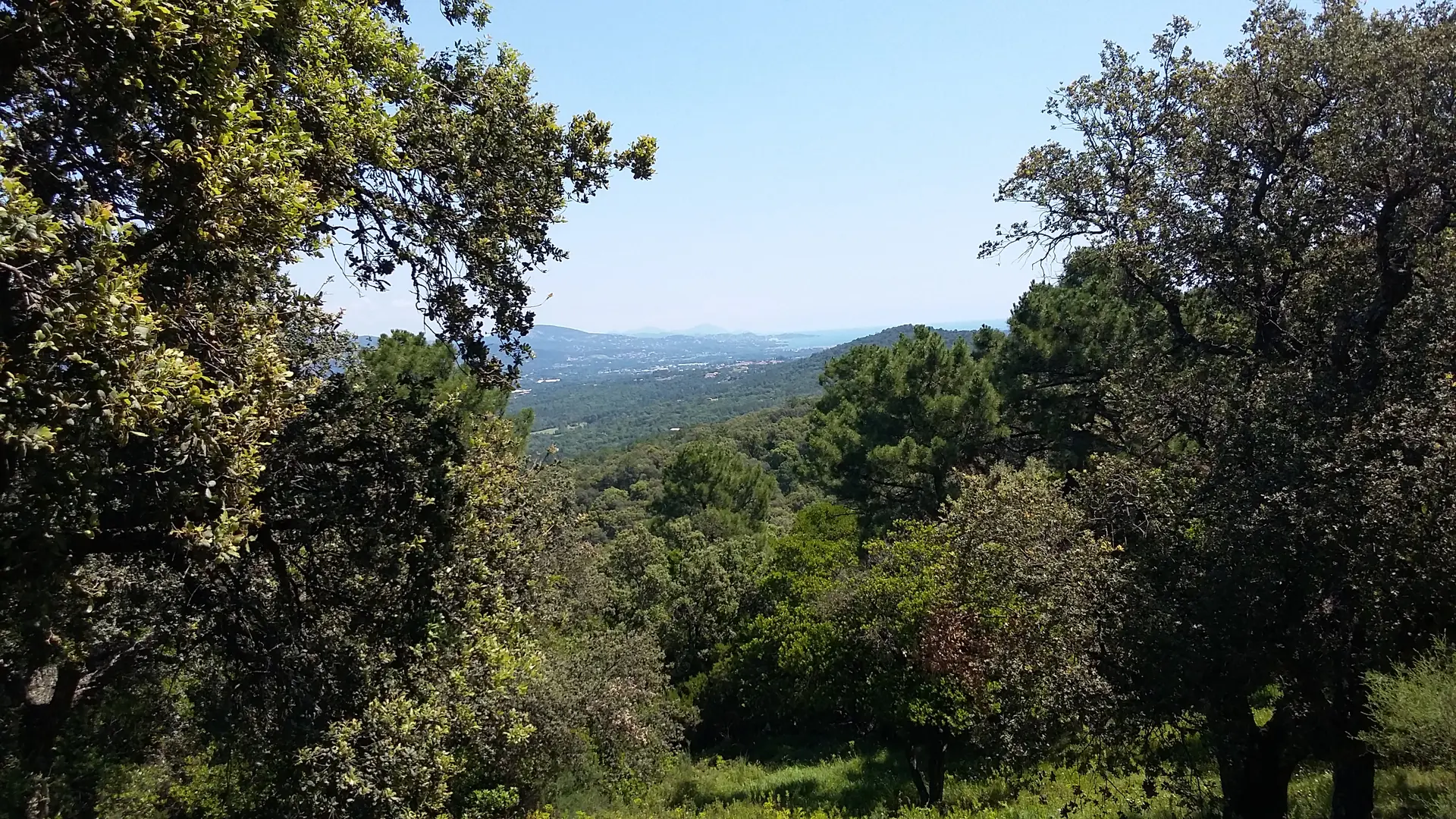 Vue sur le Golfe de St Tropez