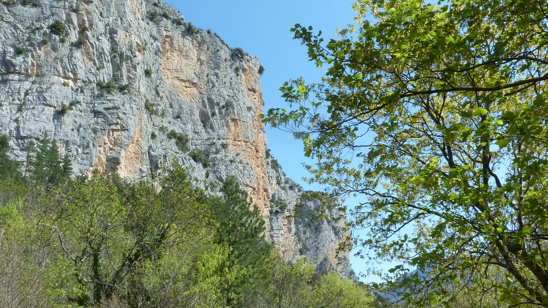 Les terrasses de tuf au pied des falaises