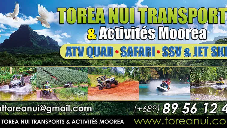 Torea Nui Transports