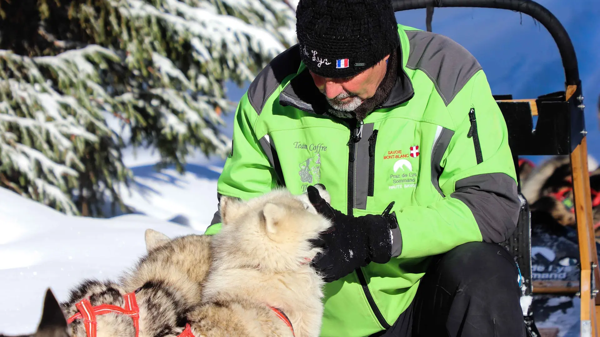 Baptême découverte en chiens de traîneaux au Praz de Lys