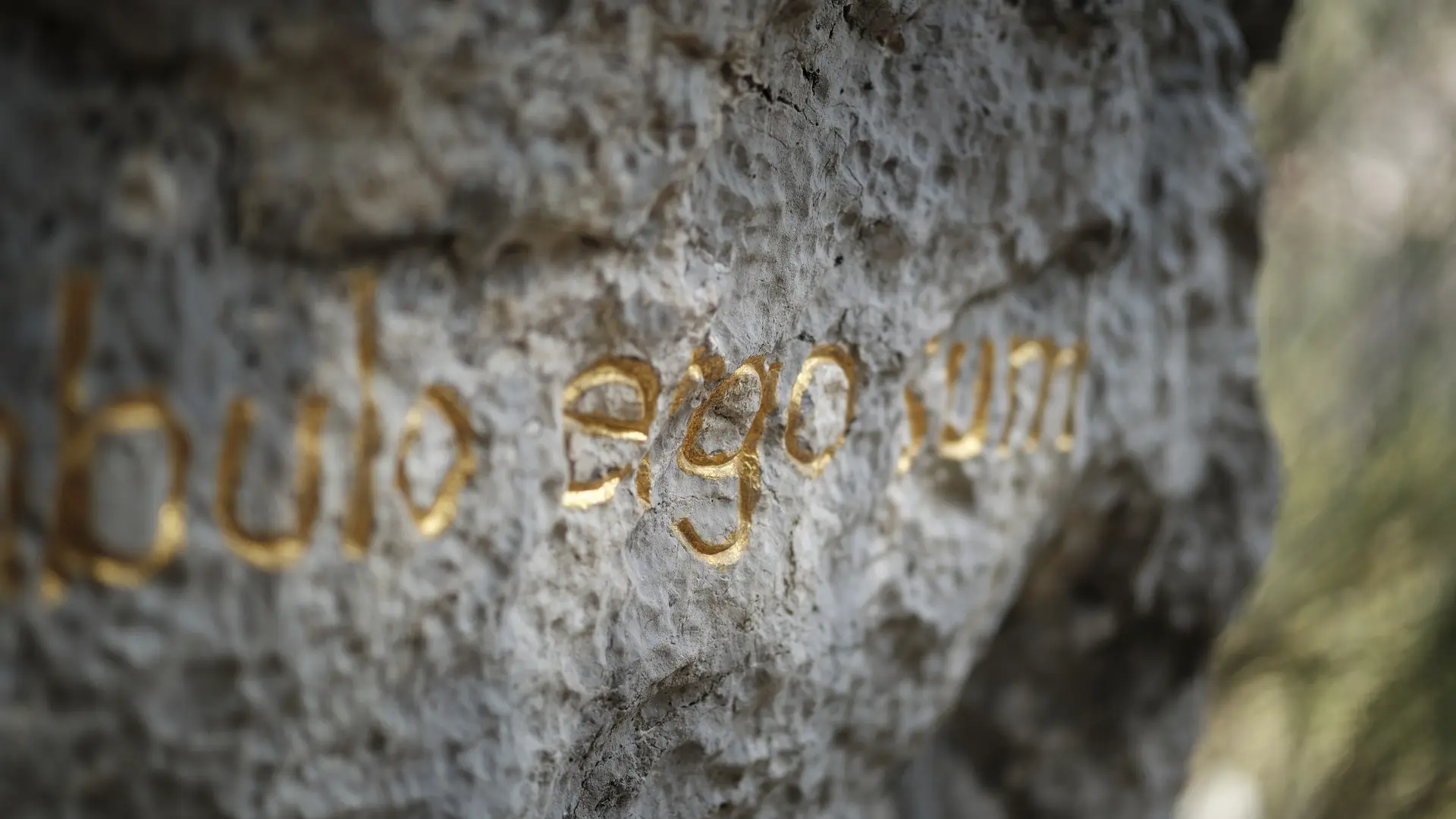 ambulo ergo sum(1999-2001) de herman de vries