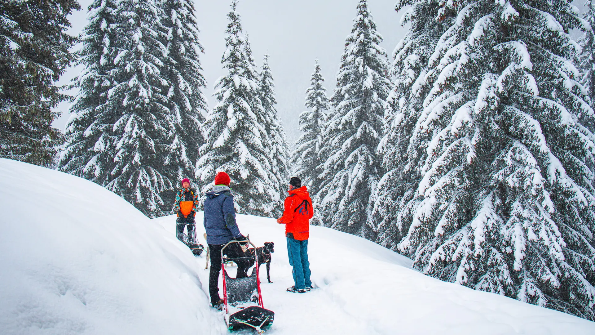 Briefing avec le prestataire