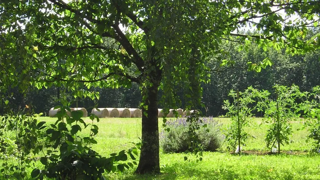 La campagne toute proche