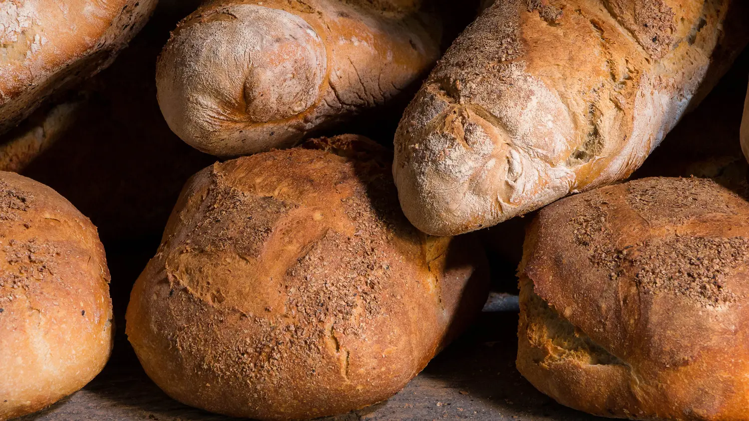 GAEC de Baffol, pain et céréales, St Julien en Champsaur