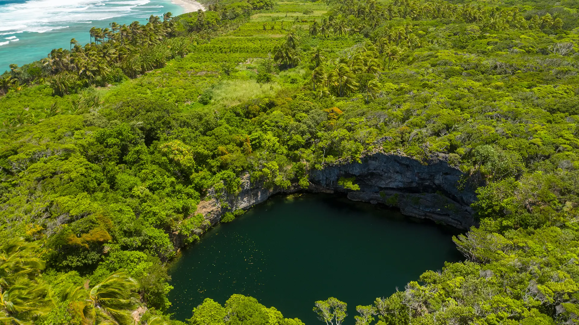 View from the sky