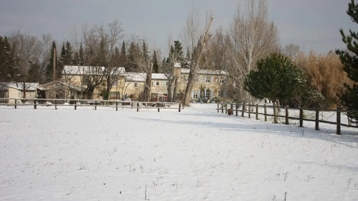 photo15