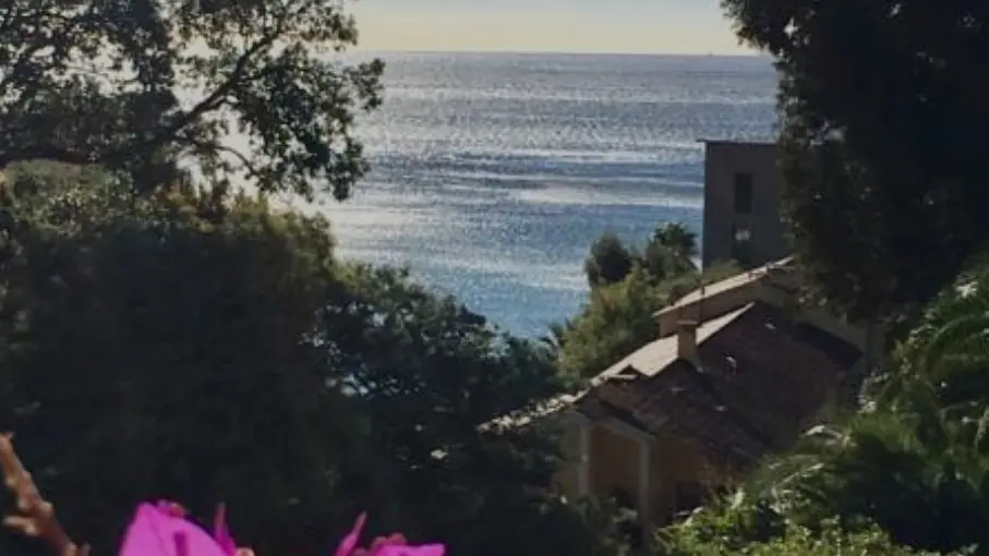 Villa l'Olivea