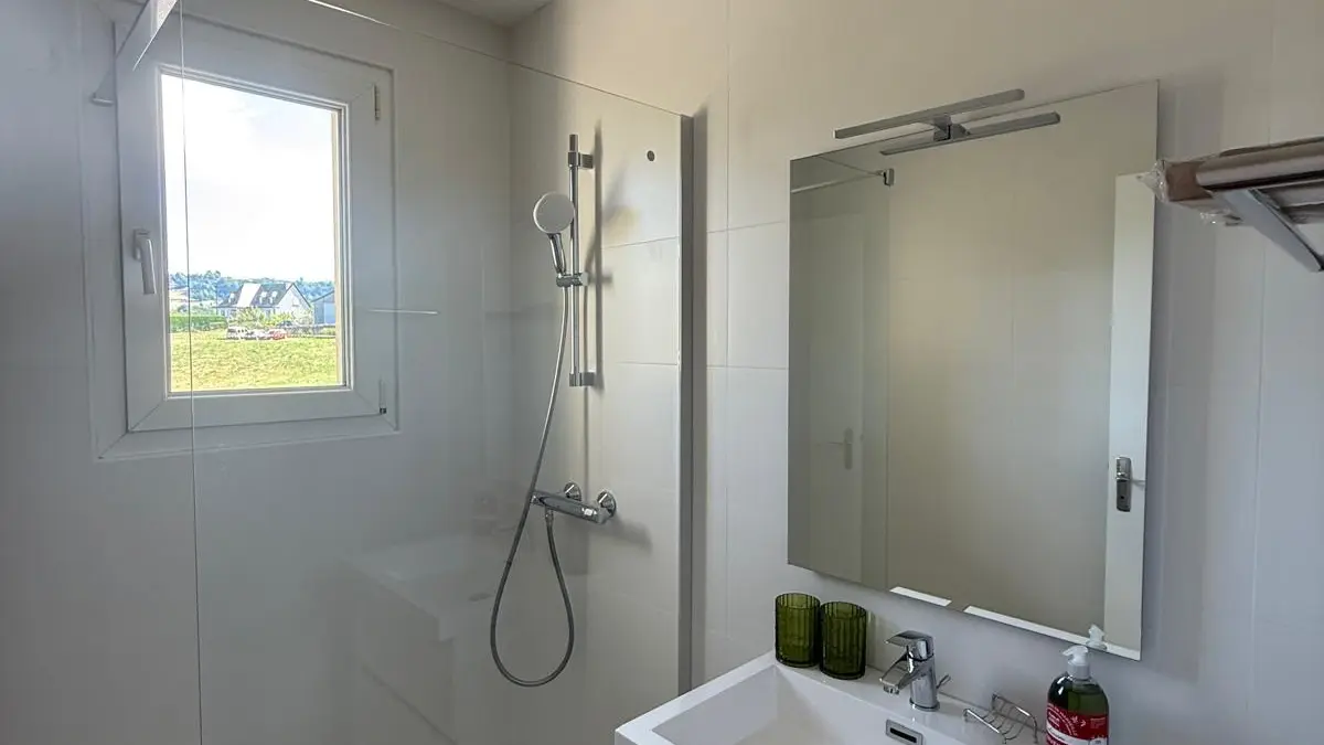 Salle de douche 1