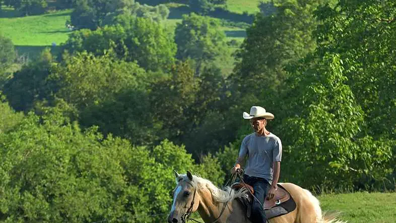 Randonnée équestre à Ferrières-sur-Sichon