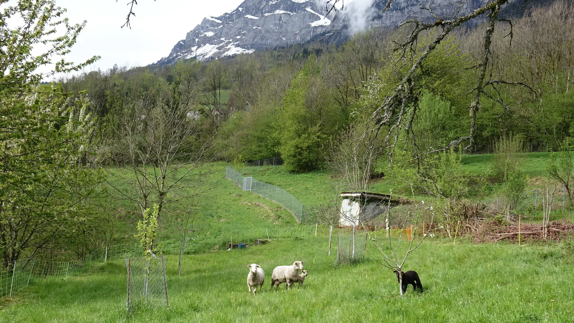 Heureuses dans les montagnes
