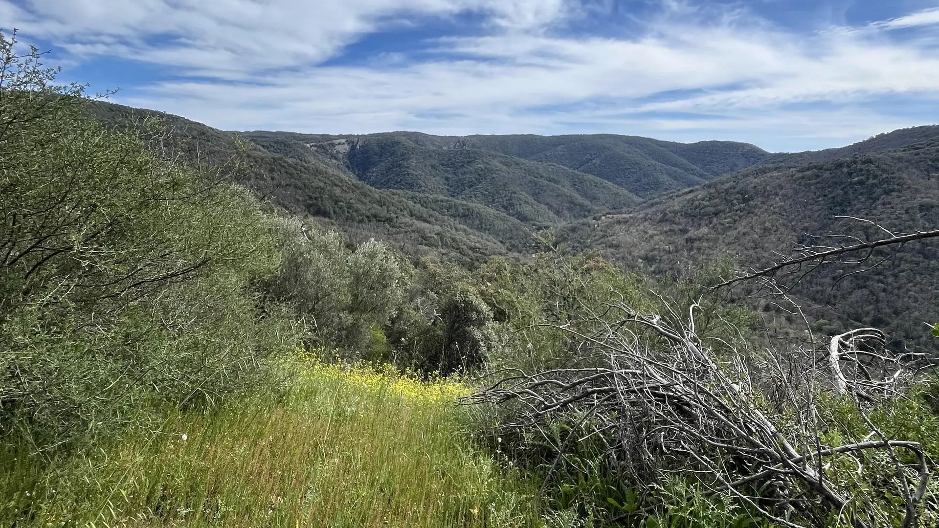 Le Massif des Maures