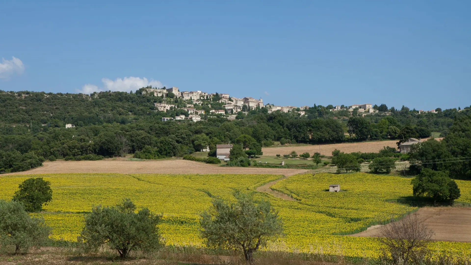 Le village de Lurs et les champs de Tournesols