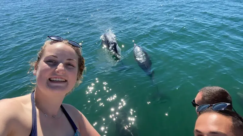 Delfine aus dem Dream'On