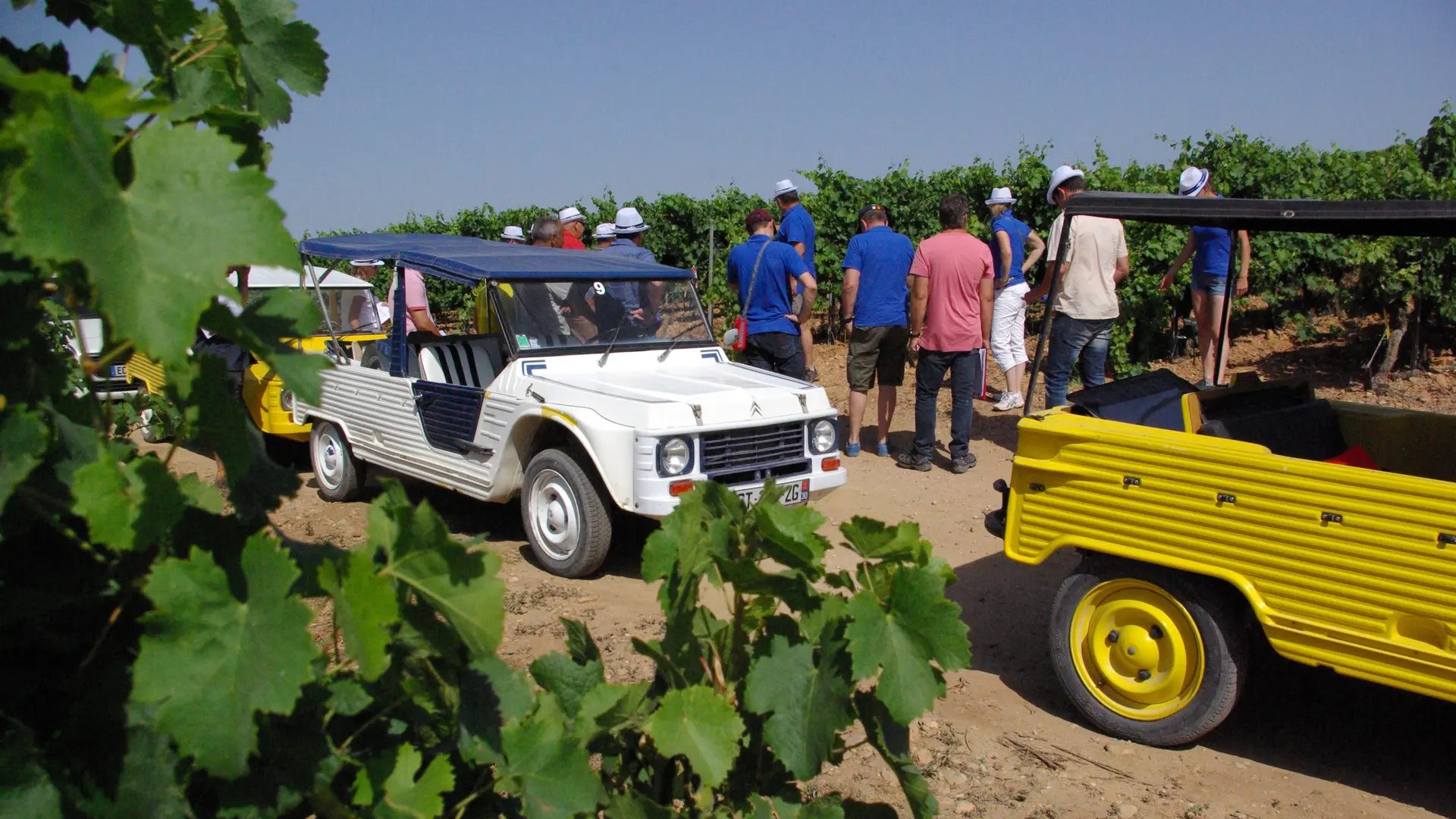 Rallye méharis