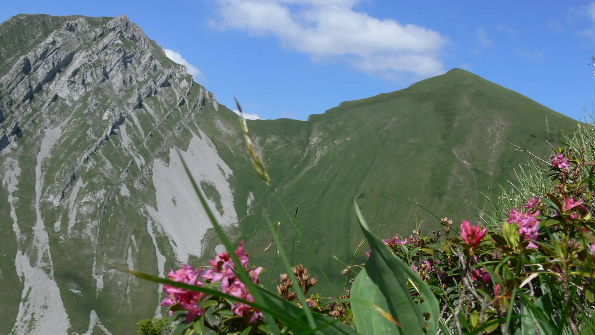 Armenaz et Pécloz