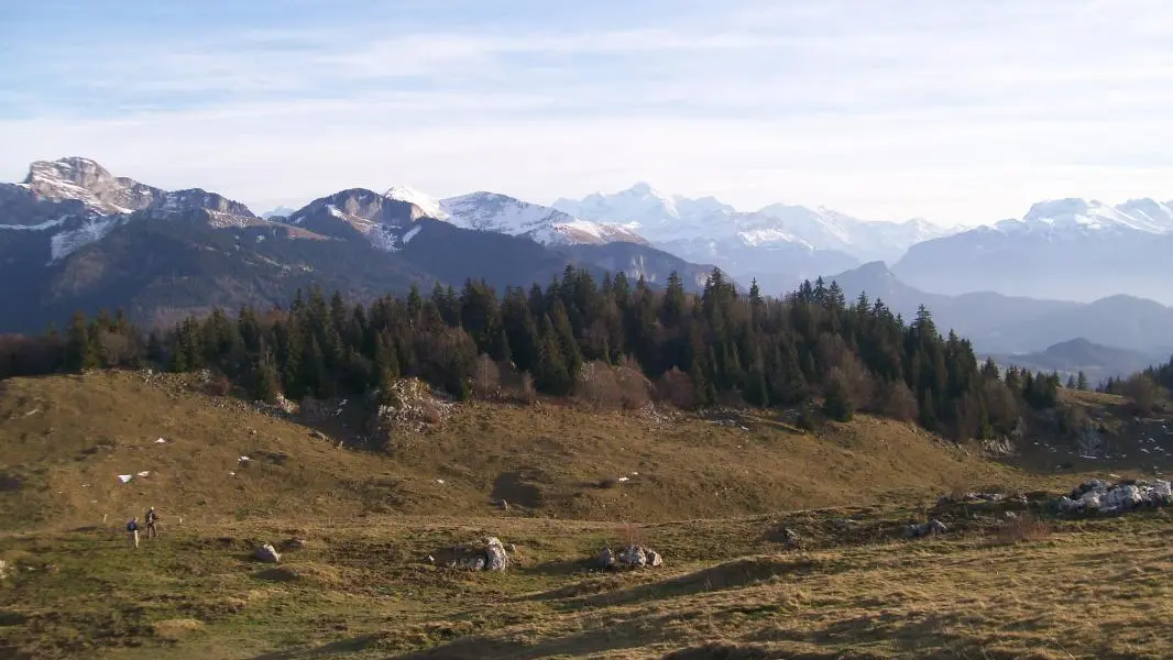 Vue sur le Mont Blanc depuis le plateau de Plaine Joux (2.5km du Gite)
