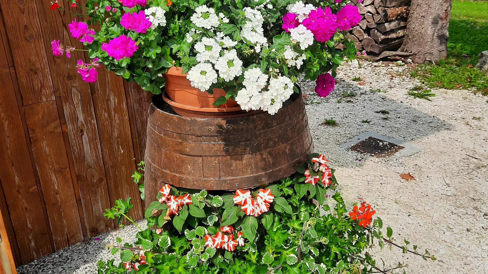 Fleurs
