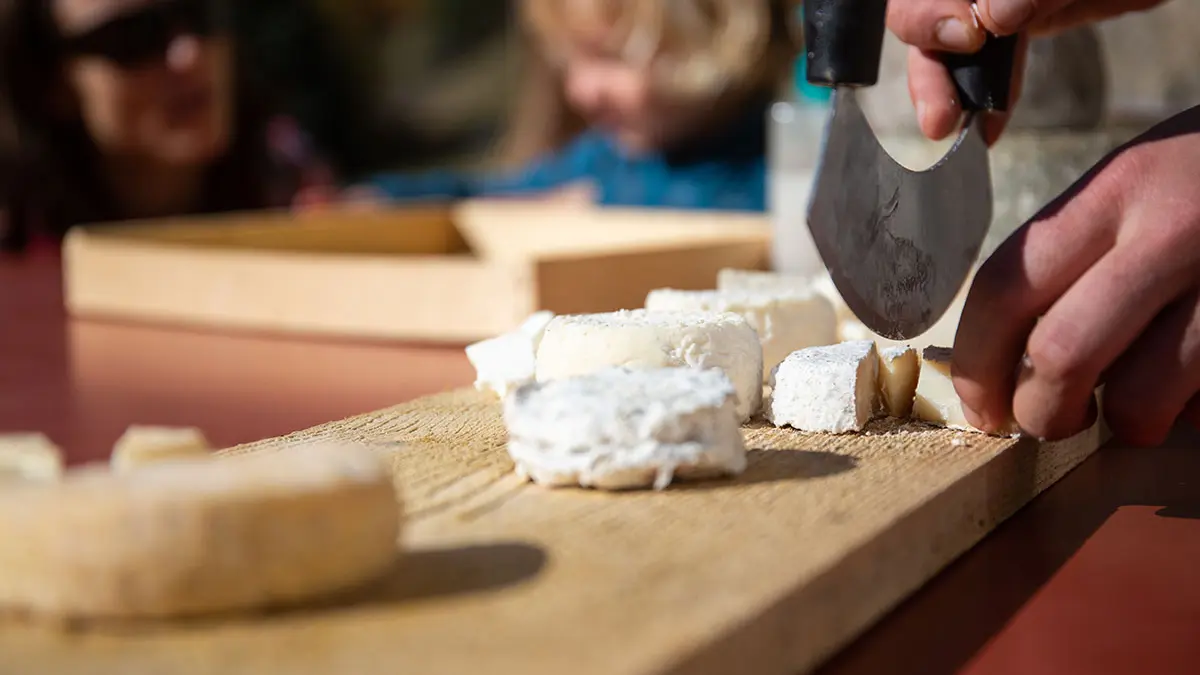 Les fromages de chèvres frais