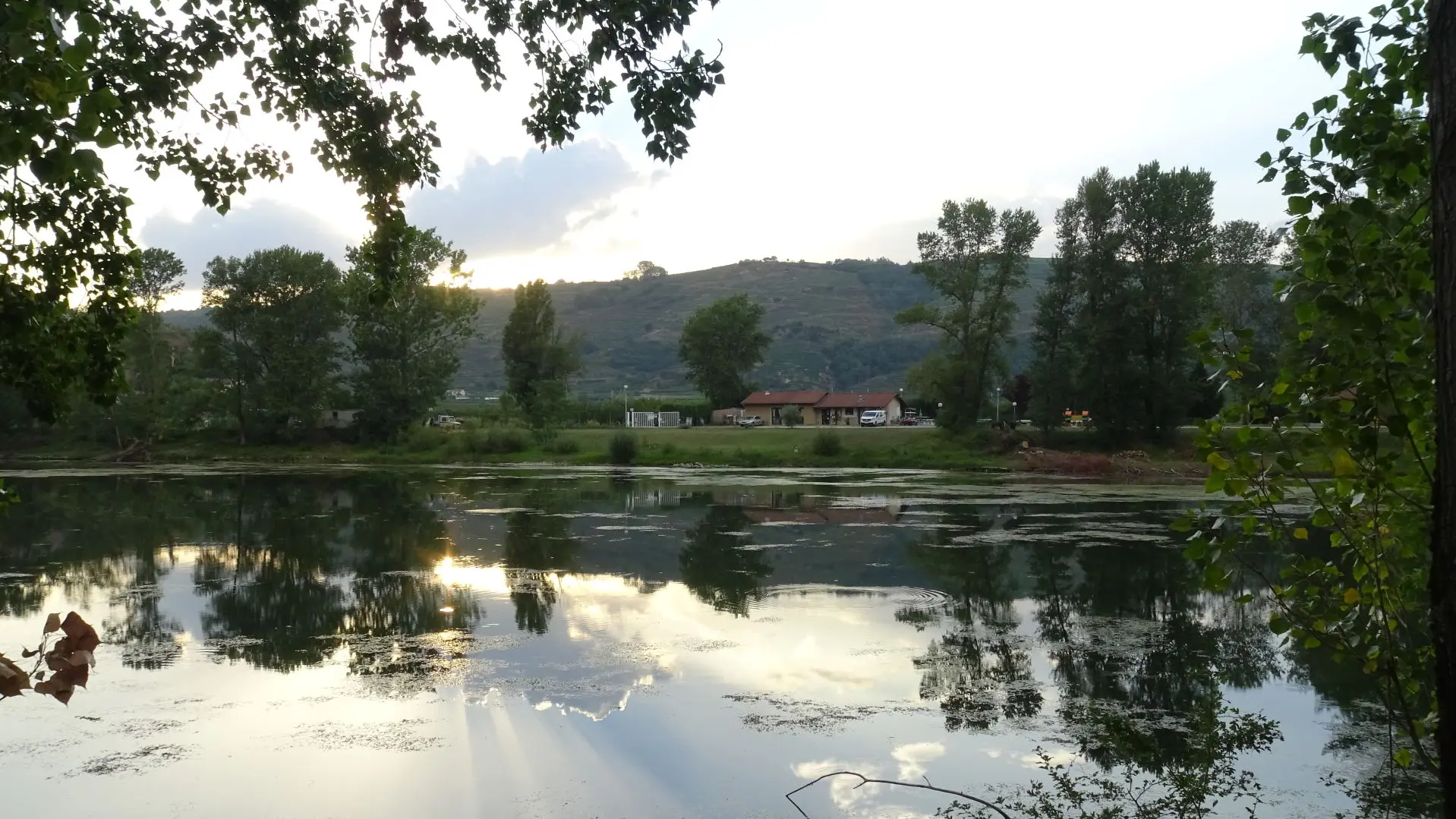 Vue sur l'étang