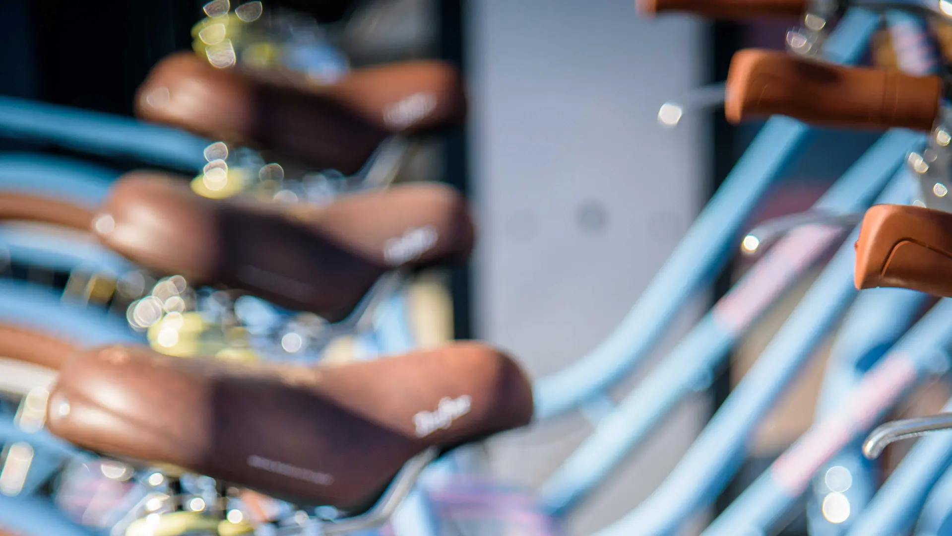 Nuestras bicicletas azules