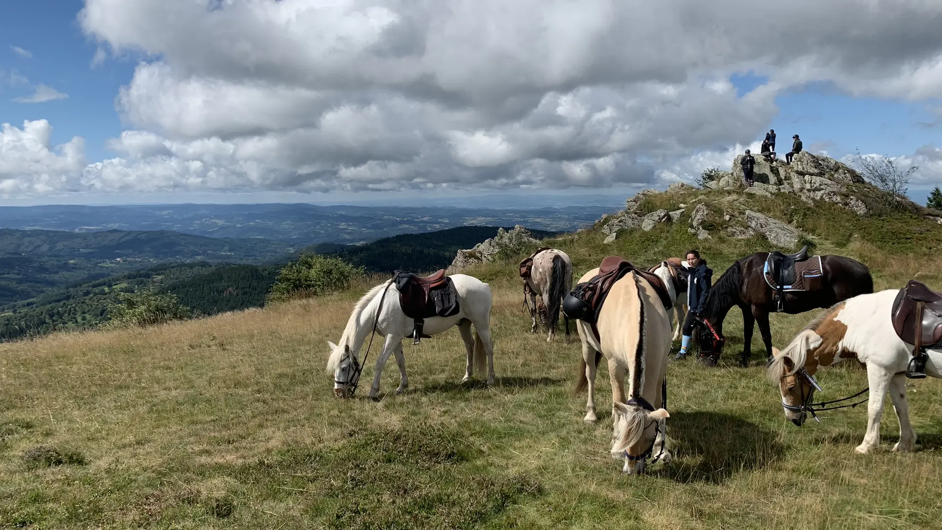 Rando à cheval