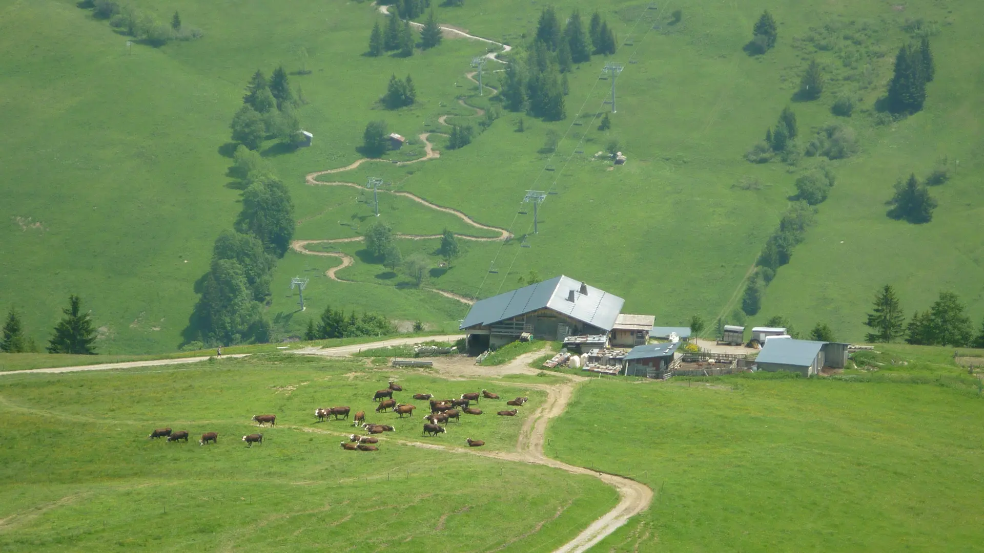 Pistes de descente VTT du Châtelet