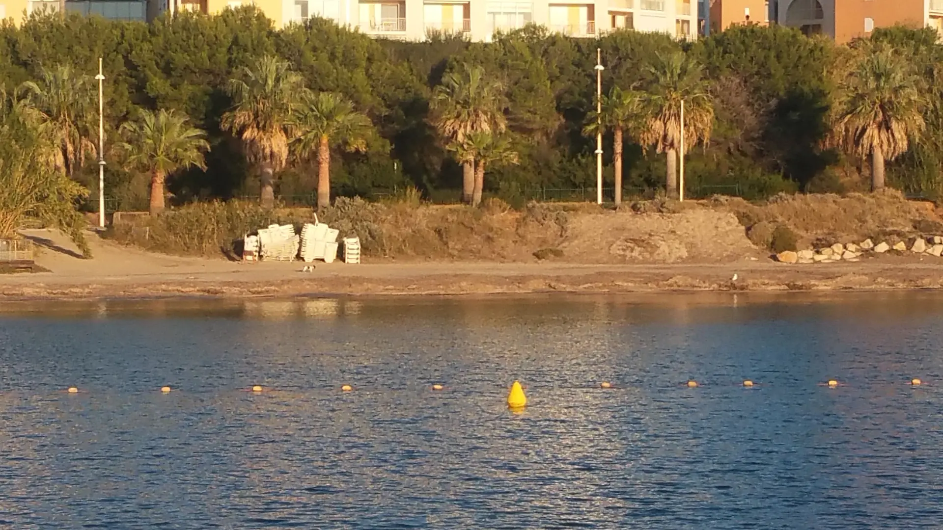 Appartement dans une résidence - La Coudoulière - Guillon Charles-Henri