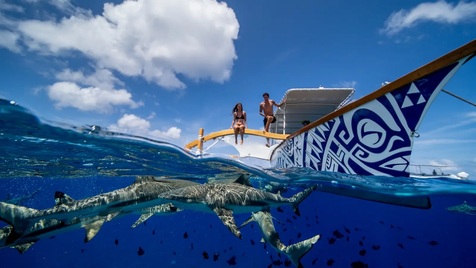 Lagoon Service Bora Bora