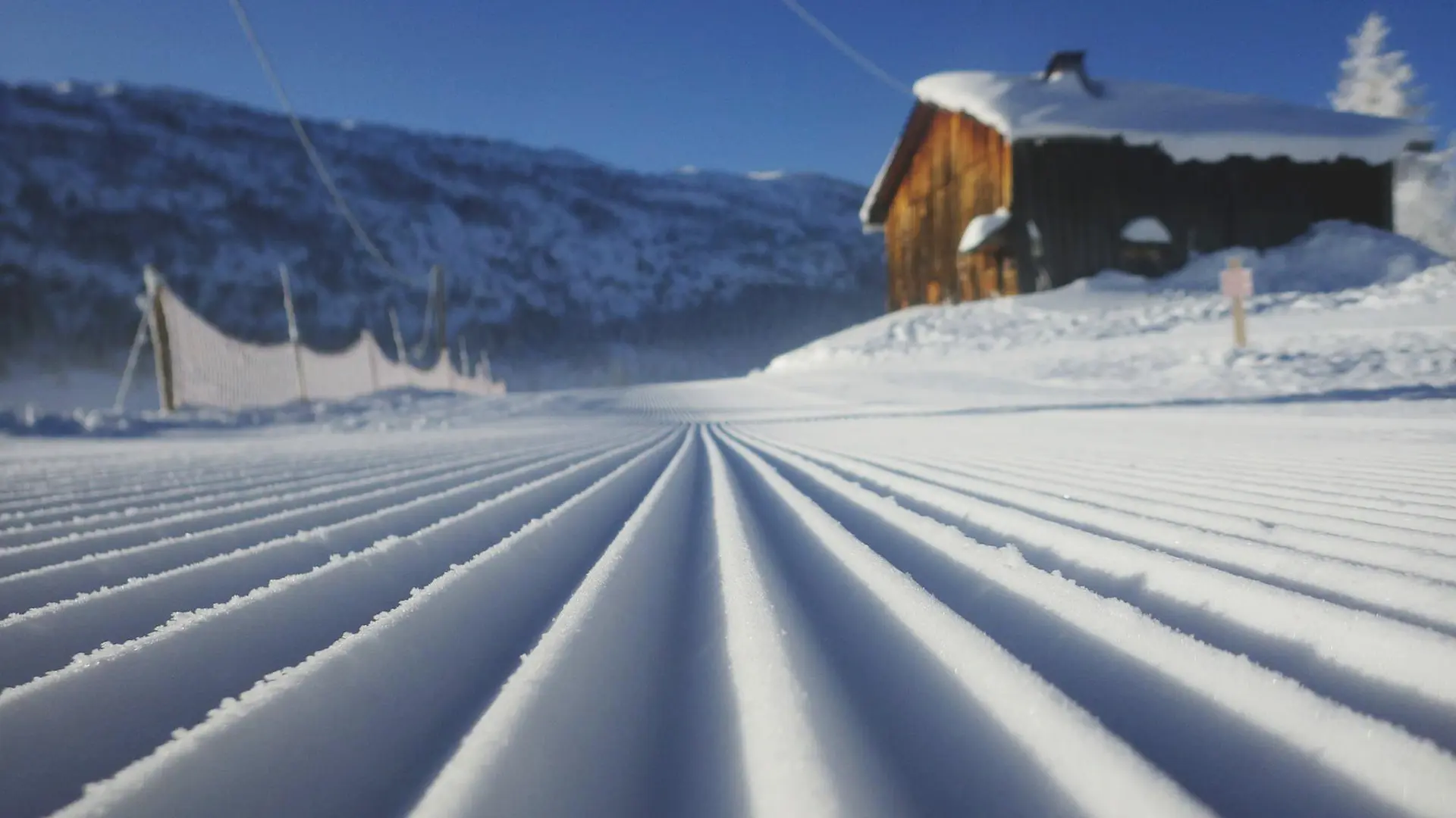 Détail Traces skis