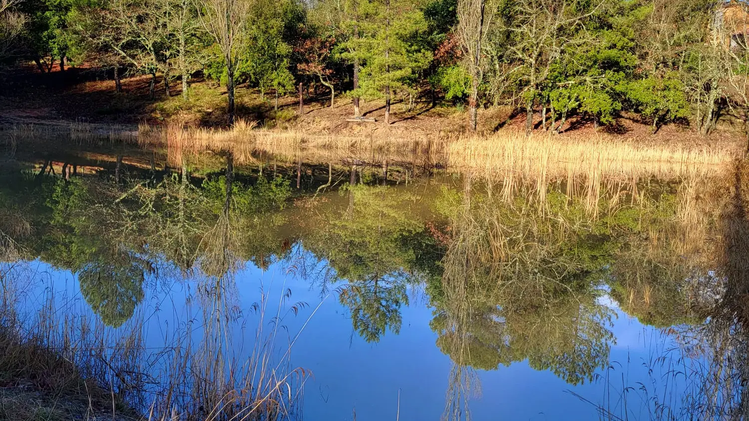 Etang domaine Saint Pierre