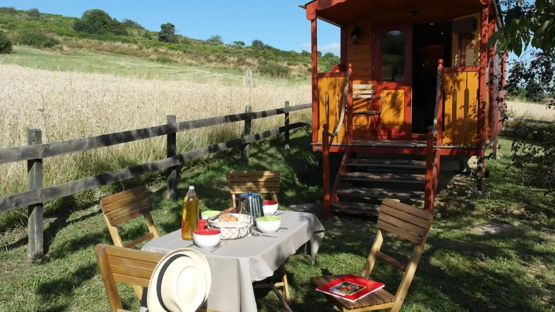 Le retour insolite à la nature !