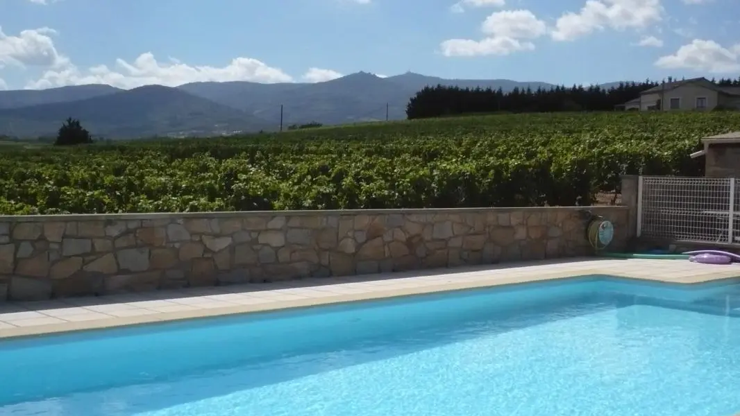 La piscine et la vue sur le massif du Pilat