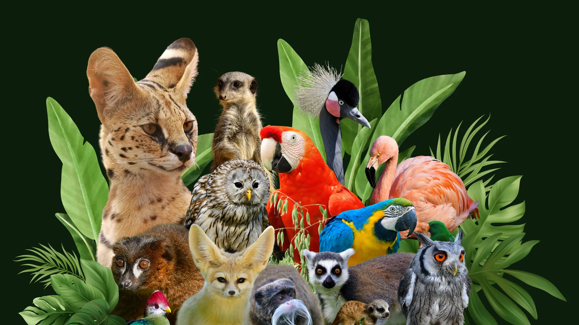 Le Zoo d'Upie