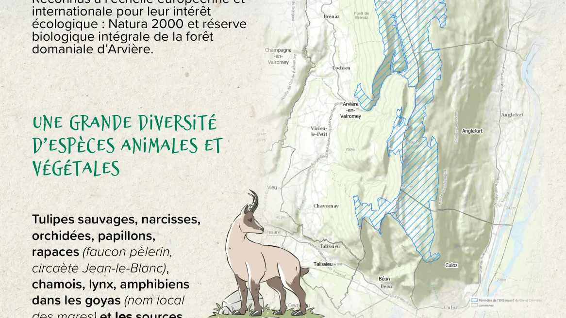 Note d'information à lire avant la sortie.