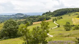 Crête panoramique - Saint Avit
