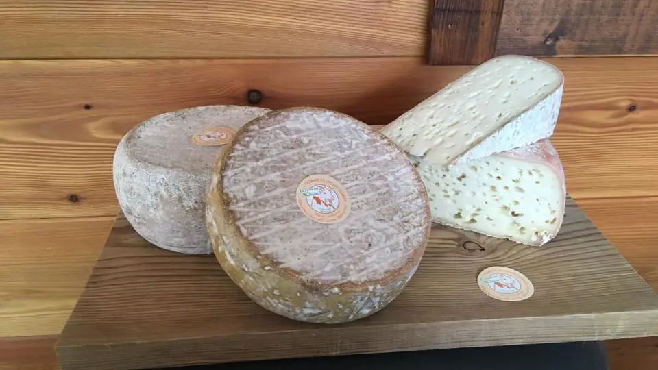 Fromages à la vente