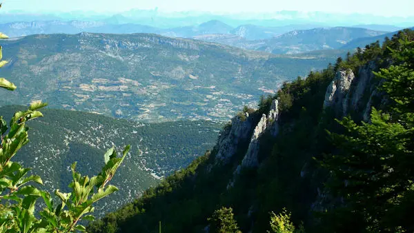 V. Biset - Ventoux; Jean-Henri Fabre
