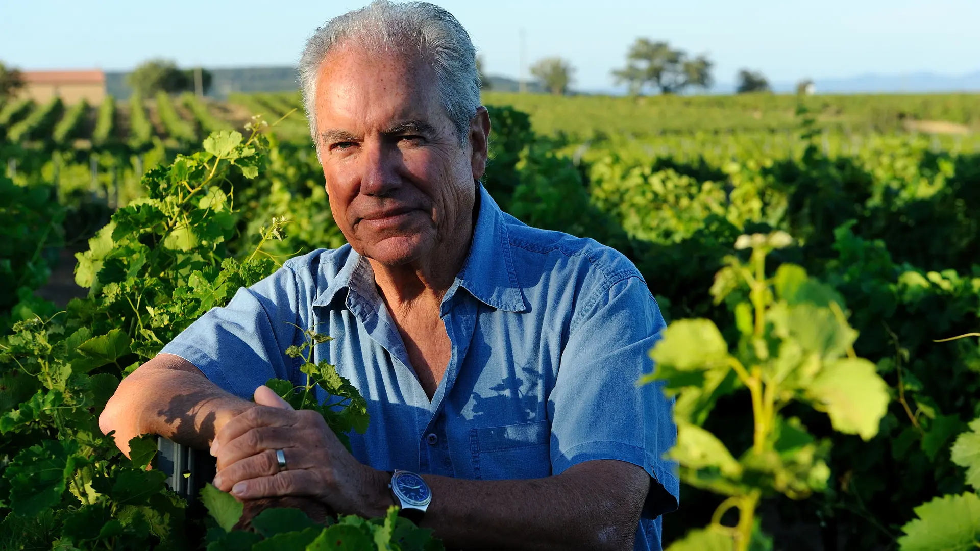 Henri Bour - Domaine de Grangeneuve