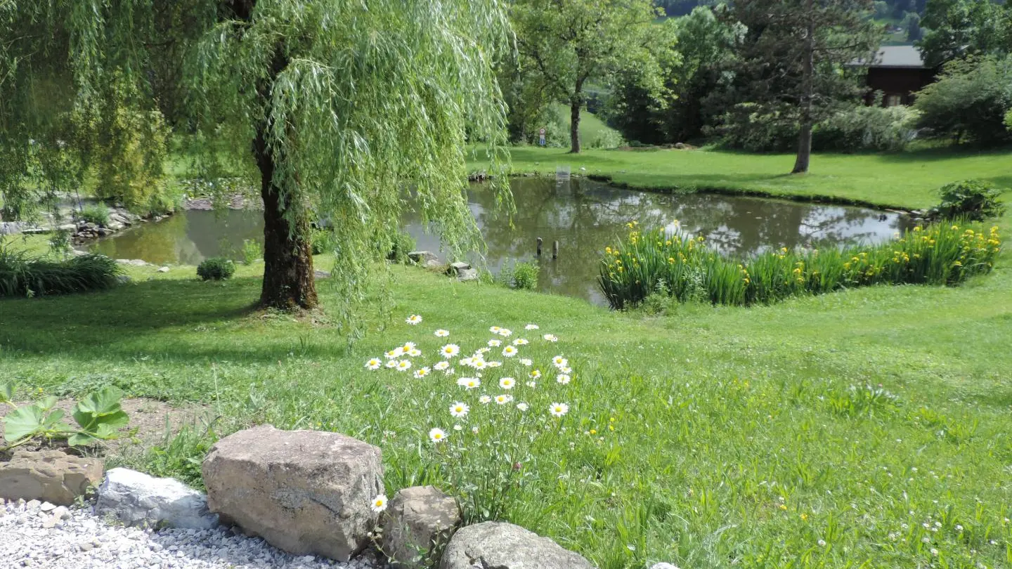 Vue sur le plan d'eau