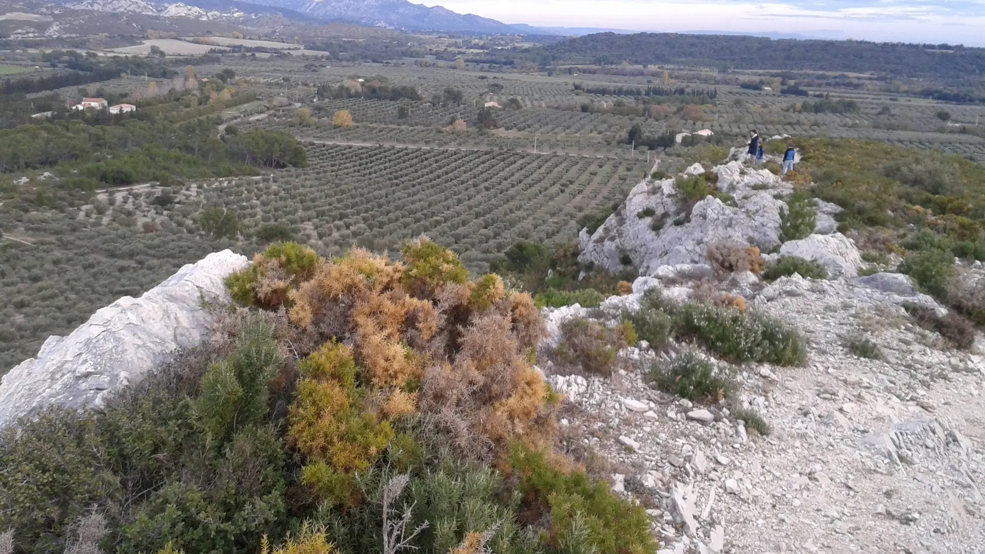 Crête du Castellas