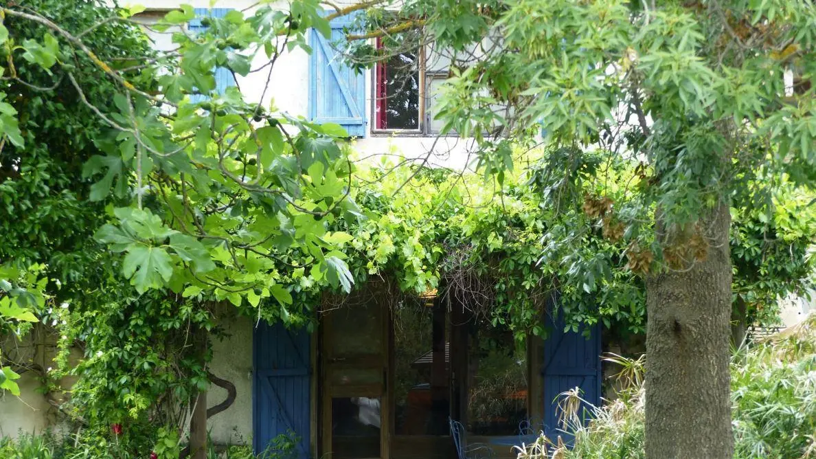 photo4