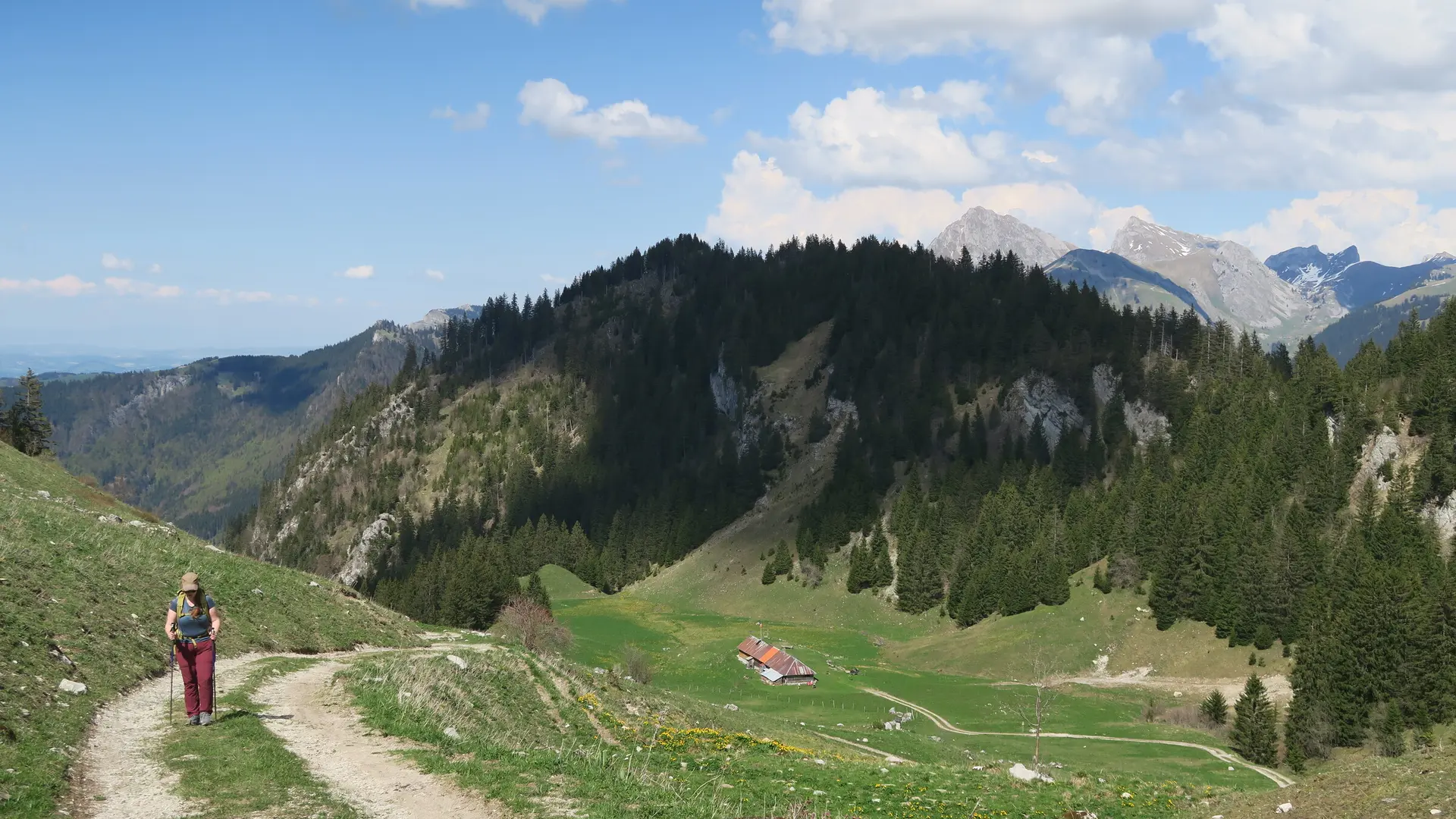 Vue Dent d'Oche