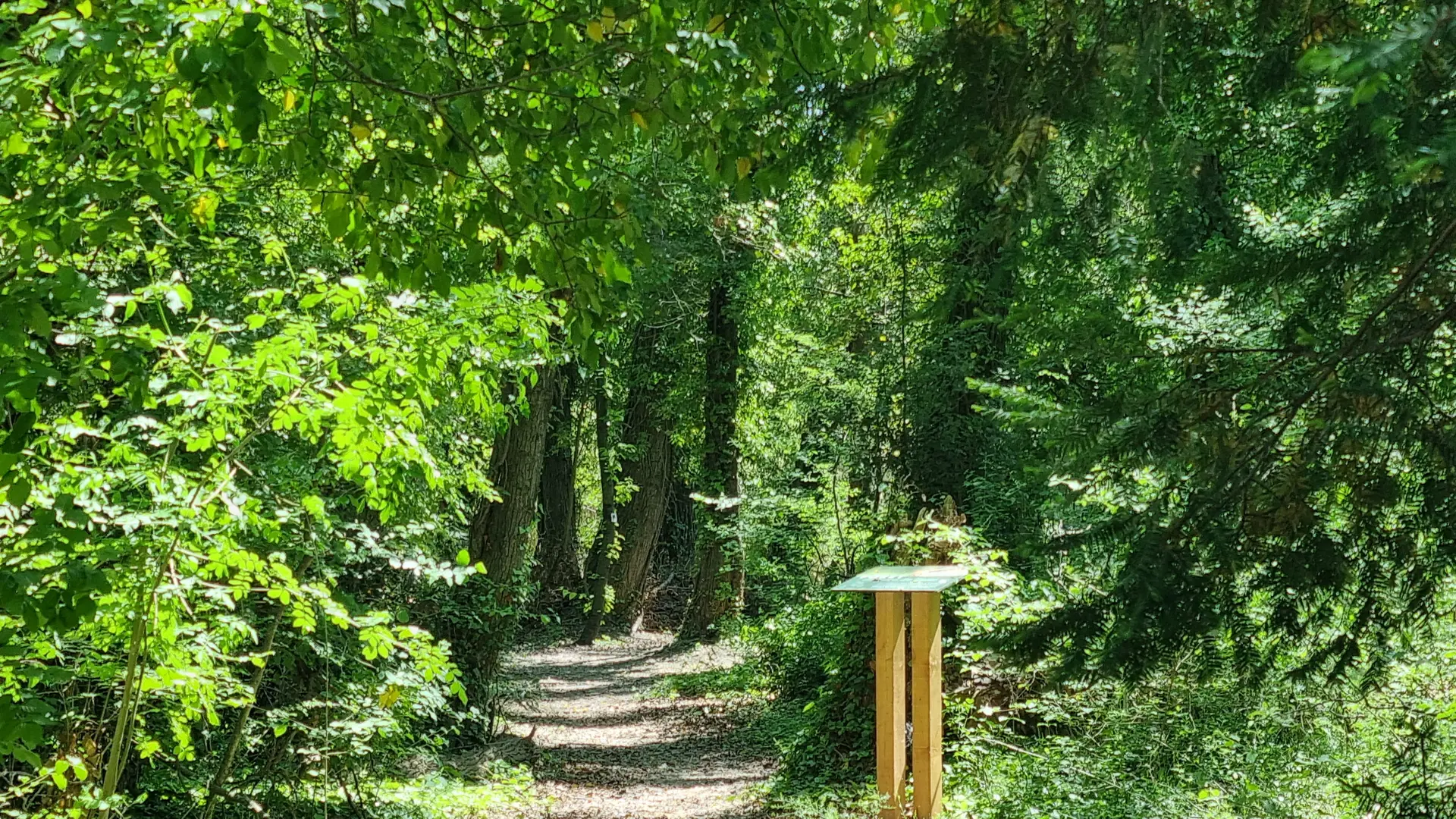 Sentier découverte ©OT