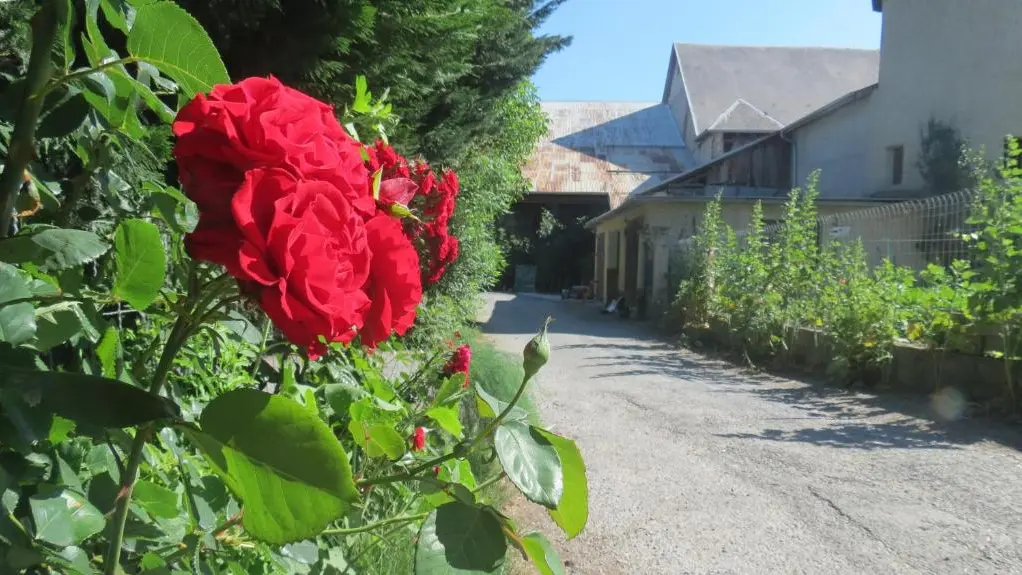 CAMPING LA TOUR