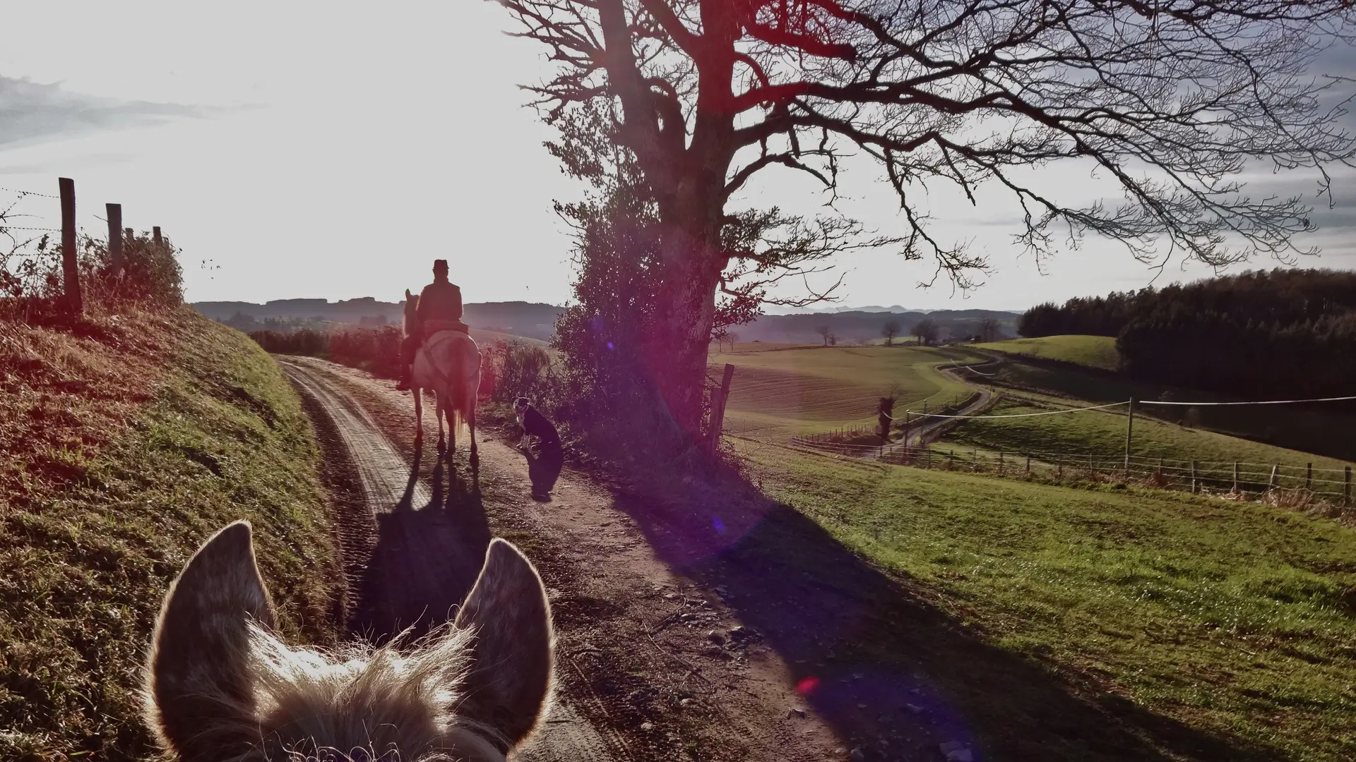 Randonnée équestre