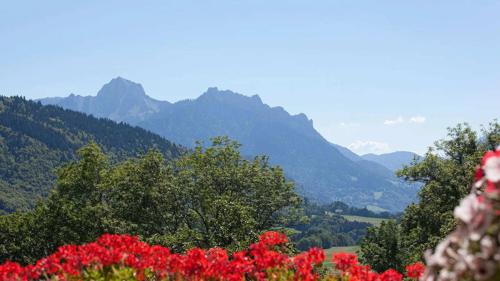 Bois Joli - montagnes