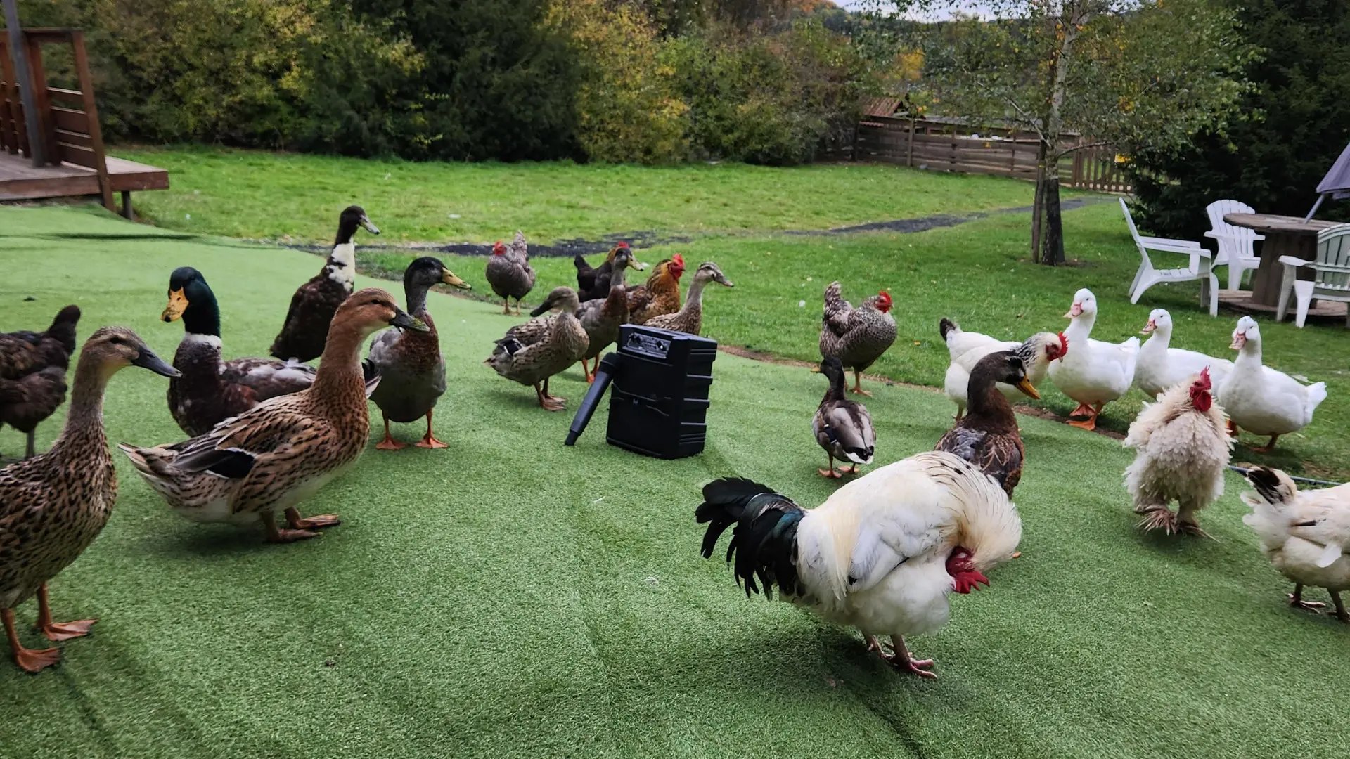 Api'Birthday à la Miellerie La Grange aux Abeilles_Estivareilles