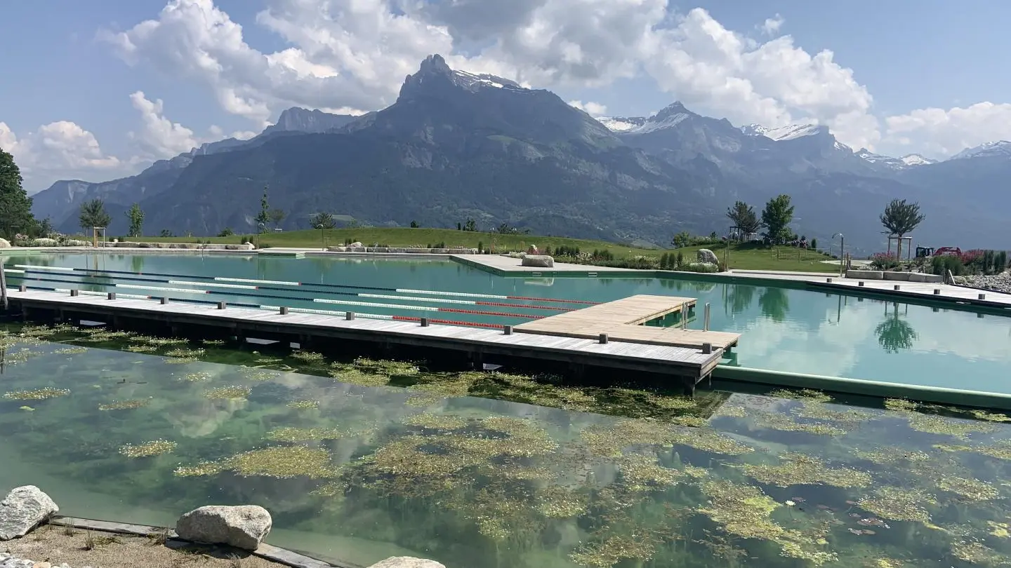 Lac biotope à 300m du gîte