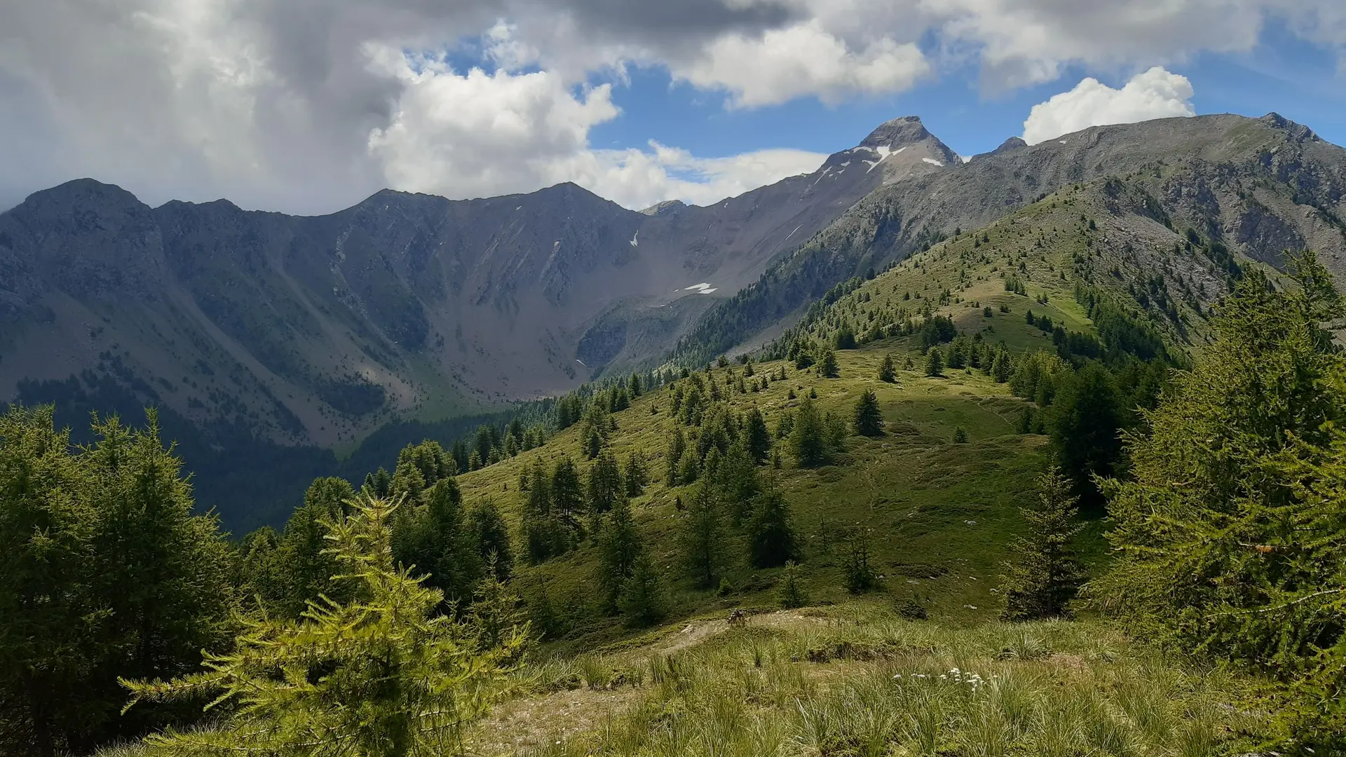 Sur la crête du Lauzet