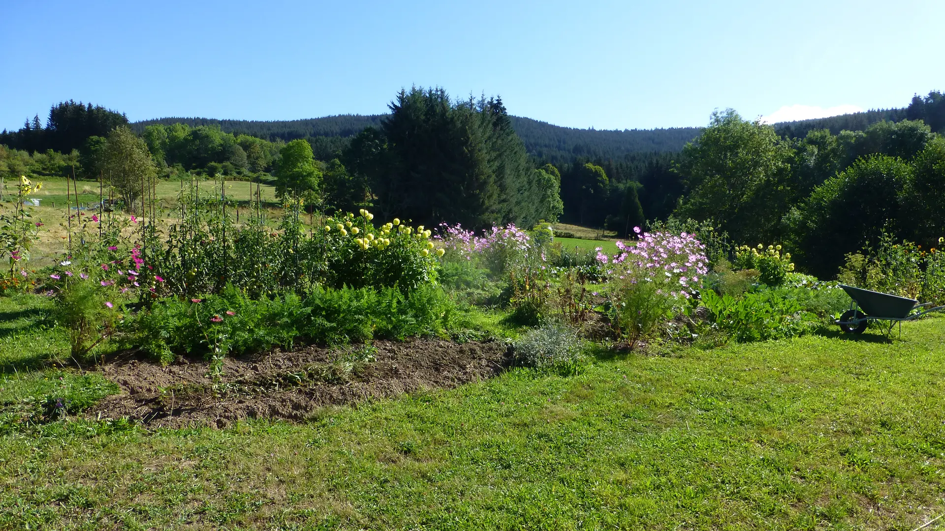 Potager